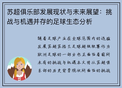 苏超俱乐部发展现状与未来展望：挑战与机遇并存的足球生态分析