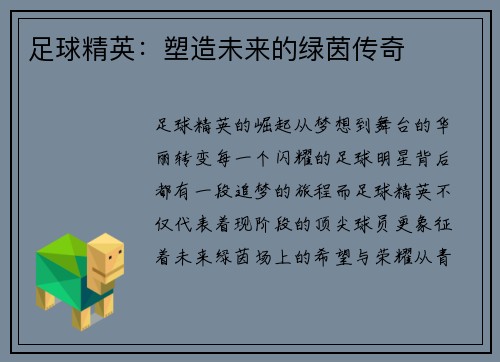 足球精英：塑造未来的绿茵传奇